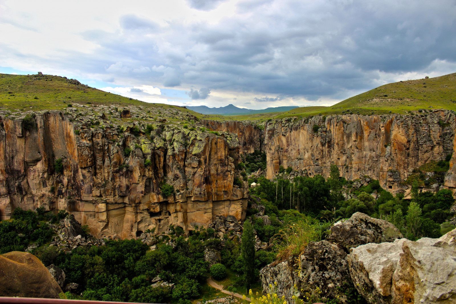 natur, himmel, klippe, Nationalpark, skrænt, dannelse, bjerg, træ, geologi, landskab, highland, Sky, Terræn, canyon, klint, outcrop, græs, Badlands, shrubland