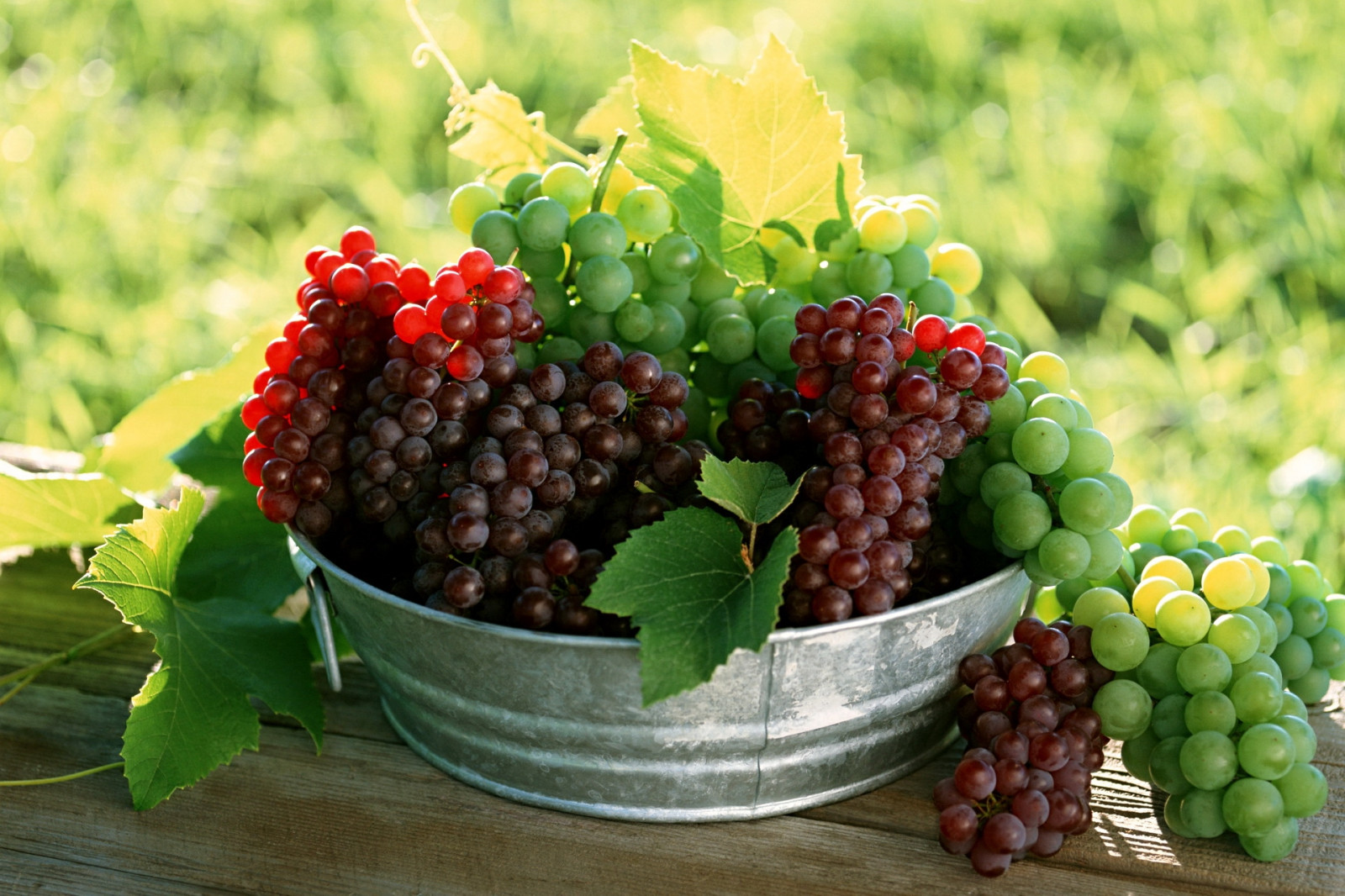 Wallpaper leaves, food, fruit, Plate, grapes, berries, Grape, berry, blackberry, agriculture