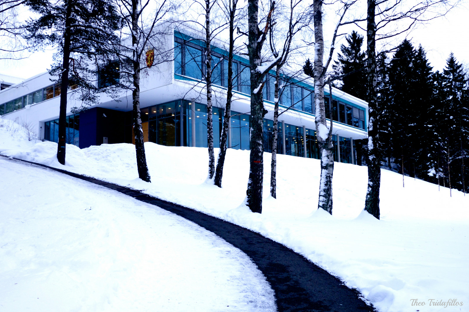 stromy, les, bílý, Černá, architektura, nebe, sníh, zima, silnice, Dům, modrý, led, Norsko, mráz, norský, zmrazení, Oslo, UMĚNÍ, Krásná, strom, národní, dosti, blinkagain, barva, les, Skog, barvy, domů, vánice, zimní bouře, archiv, vei, Riksarkivet, Sogsnvann