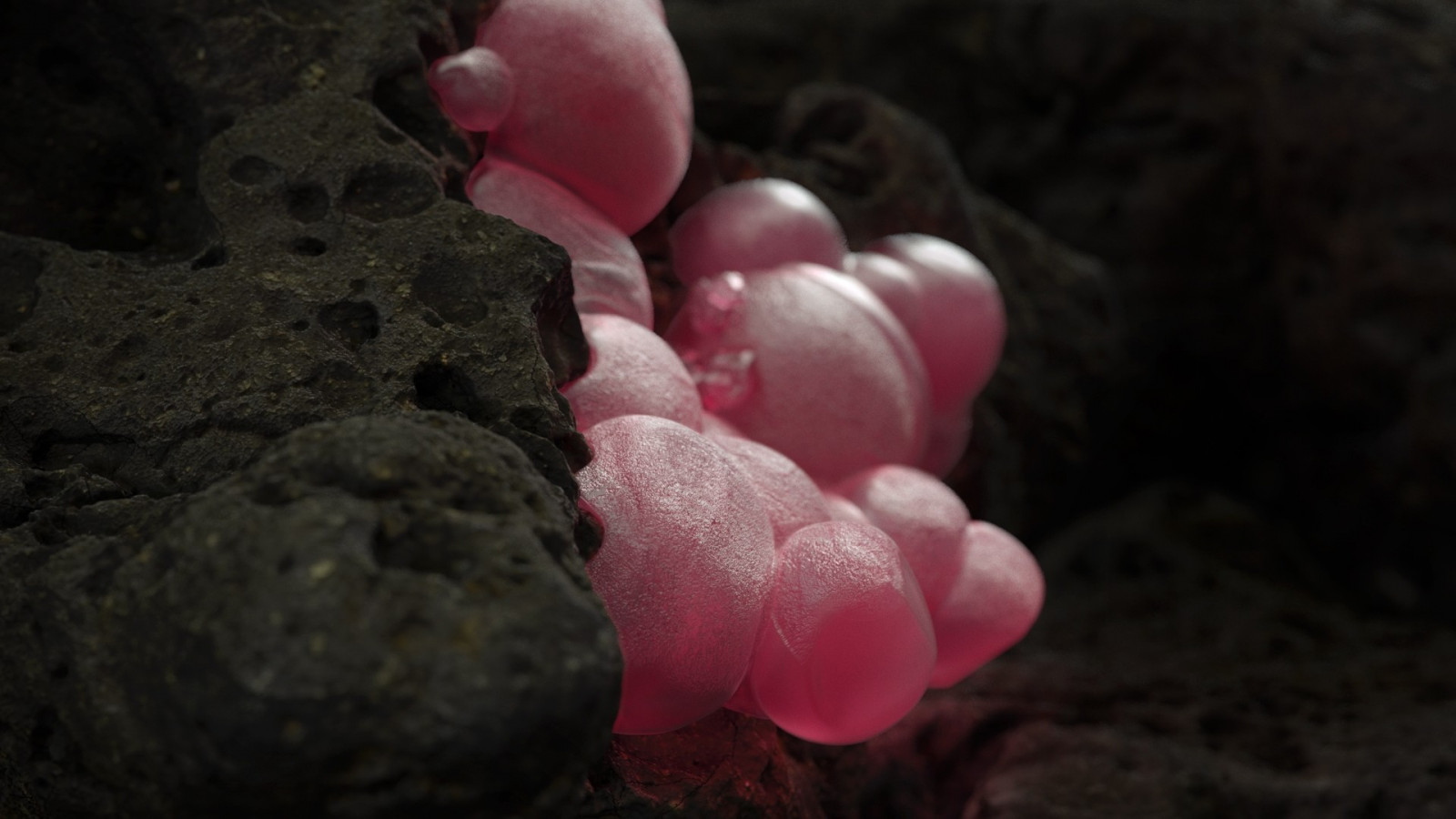 digital kunst, abstrakt, minimalisme, rød, kunstverk, bergarter, blomstre, pixelated, rosa, blad, blomst, anlegg, flora, petal, 1920x1080 px, produsere, landanlegg, nærbilde, makrofotografering