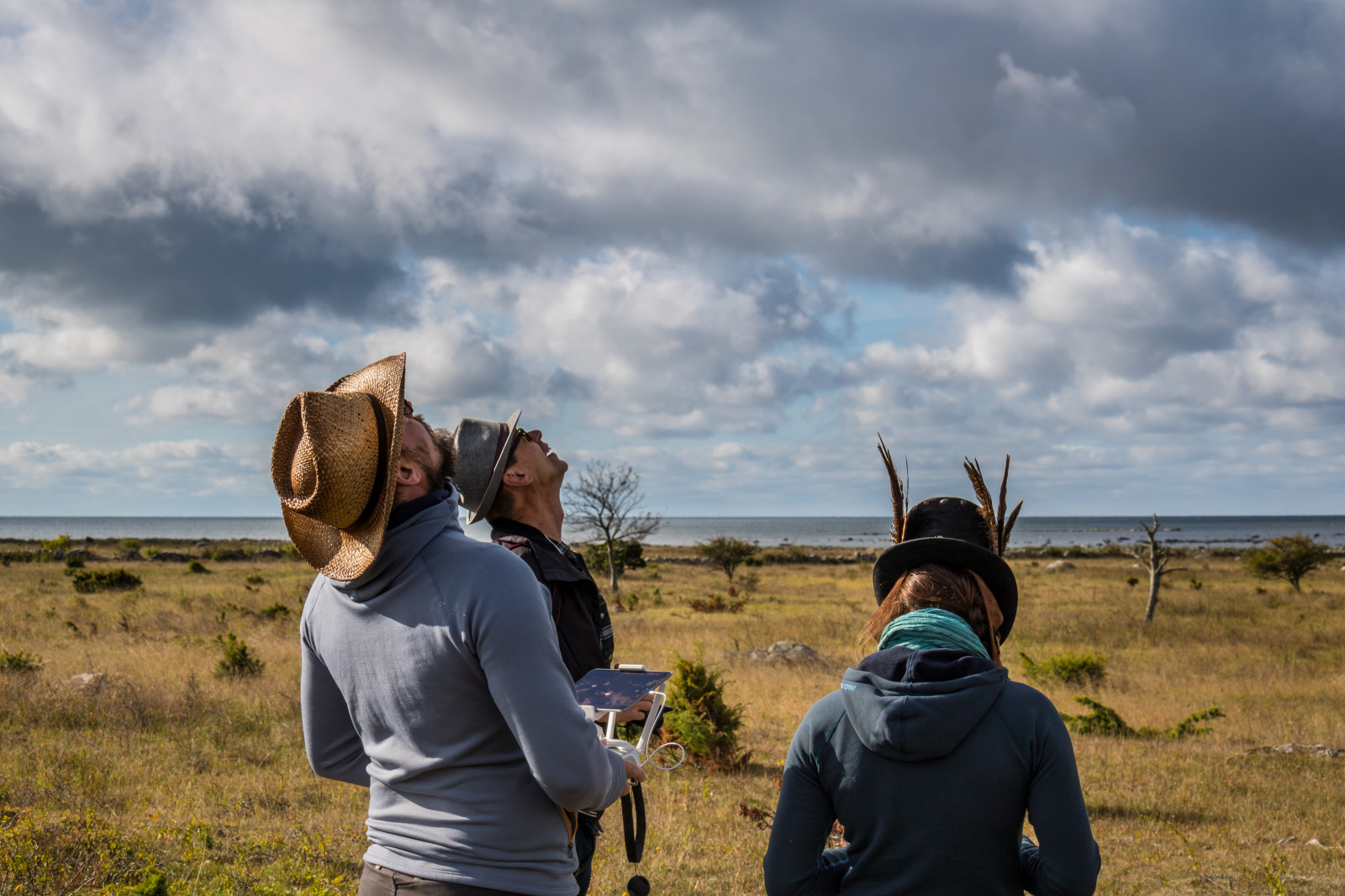natura, erba, fotografo, vento, Cheyenne, montagna, Gotland, attackfoto, attackfoto8, BJ rn, avventura, area rurale