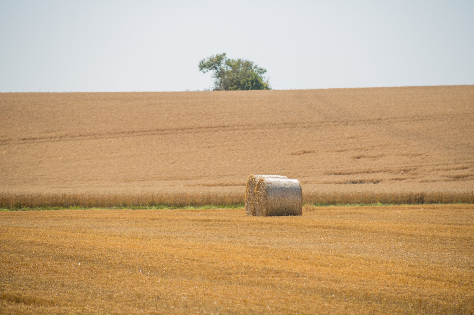 แนวนอน, เนินเขา, หญ้า, ฟิลด์, ทะเลทราย, ขอบฟ้า, ฟางข้าว, ที่ราบสูง, บริภาษ, ทัศนียภาพ, ทุ่งหญ้า, ปลูก, ชนบท, landsbygd, landskap, exif model canoneos760d, ประเทศธรณีวิทยา, กล้องทำให้ Canon, geocity, กล้องรุ่น canoneos760d, geostate, ตำแหน่งทางภูมิศาสตร์, เลนส์ Exifs efs18200mmf3556is, ความยาวคลื่น exif 200 มม, exif ทำให้ canon, exif isospeed 100, รูรับแสง exif 63, halm, เกษตรกรรม, ที่ราบ, ทุ่งหญ้า, พืช, ดิน, เขตชนบท, สภาพแวดล้อมทางธรรมชาติ, ระบบนิเวศ, ครอบครัวหญ้า