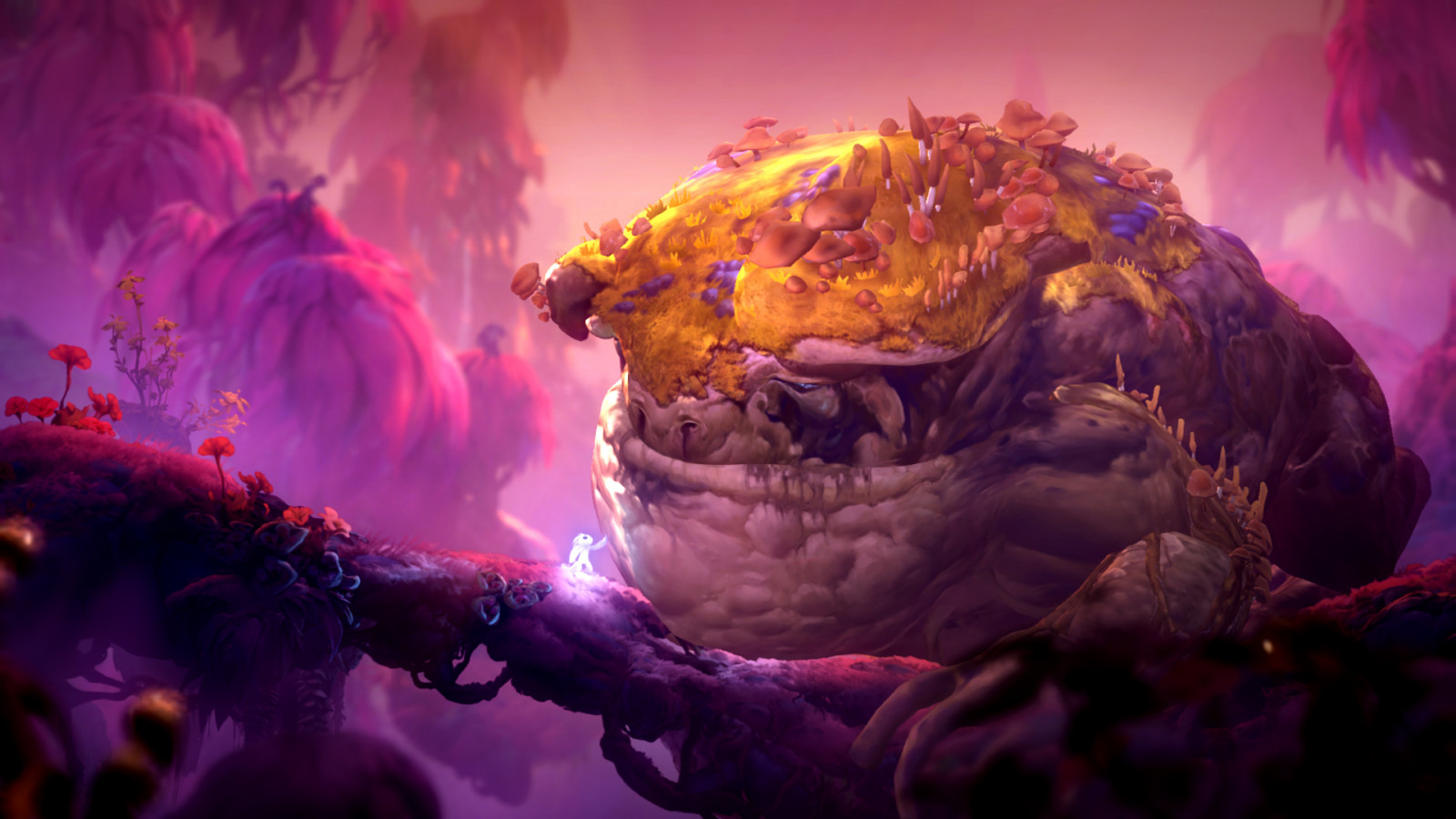  Ori And The Will Of The Wisps 1920x1080 SamUerto 