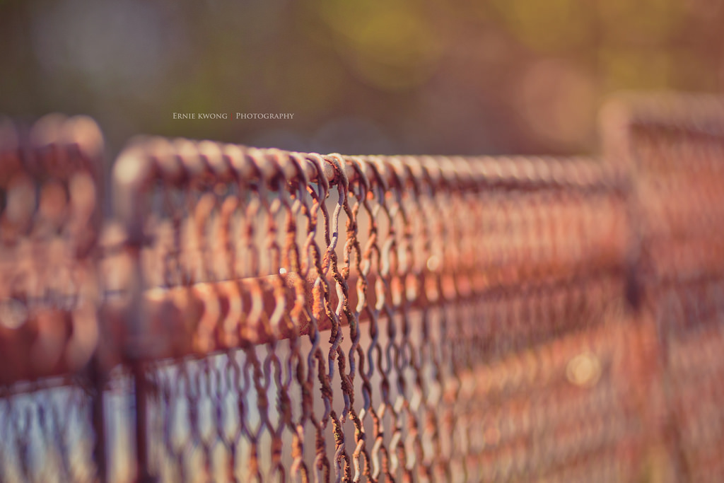 ไม้, โลหะ, พื้นผิว, รั้ว, bokeh, โตรอนโต, สนิม, วัสดุ, hff, ใกล้ชิด, การถ่ายภาพมาโคร, คราบไม้, fencefriday