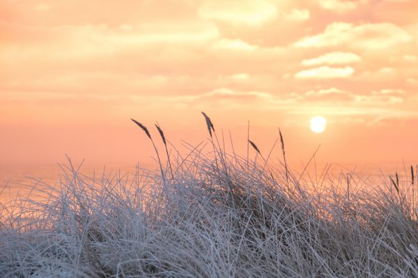 winter,cold,vinter,frost,Rime,geolocation