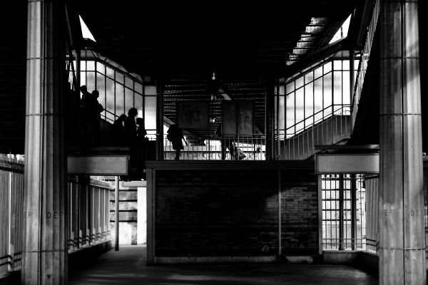 city, street, architecture, black, monochrome, window