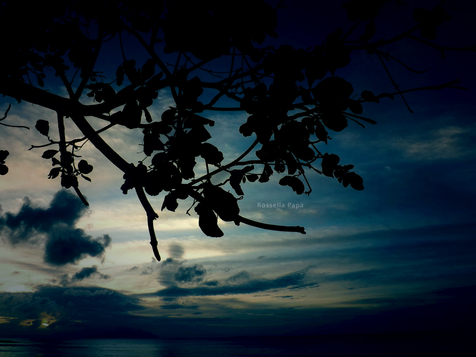sommer, himmel, silhuet, foglie, Tramonto, hoppe, Blu, natura, cielo, Seychellerne, spiaggia, rami, spettacolo, mahe, sfumature, imbrunire, Beauvallon