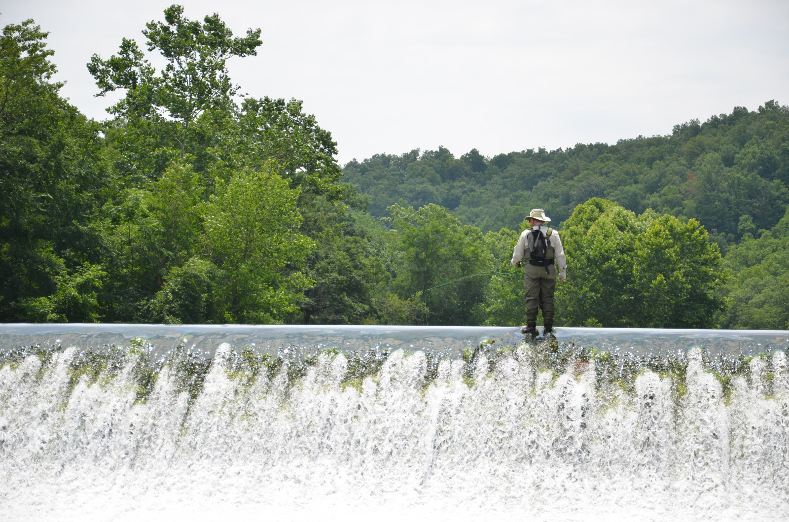 Wallpaper landscape, lake, outdoors, river, fishing, tree, plant