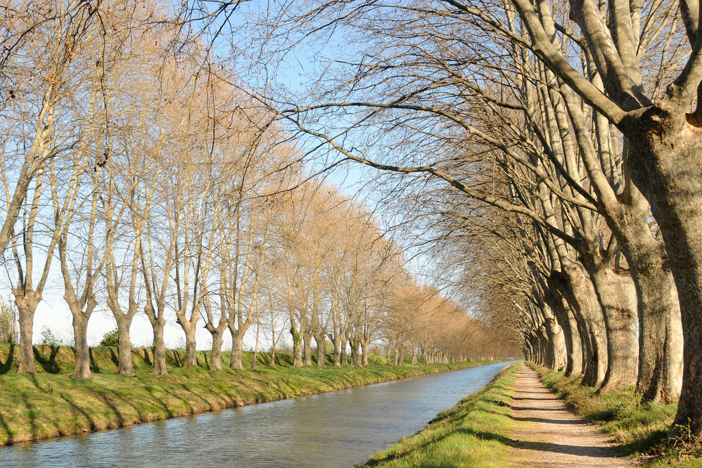 corso d'acqua, albero, canale, acqua, pianta legnosa, Banca, primavera, sentiero, foglia, ramo, pianta, riflessione, cielo, boschetto, inverno, golena, zone umide, alveo, fiume, paesaggio, bosco ripariale, autunno, bosco