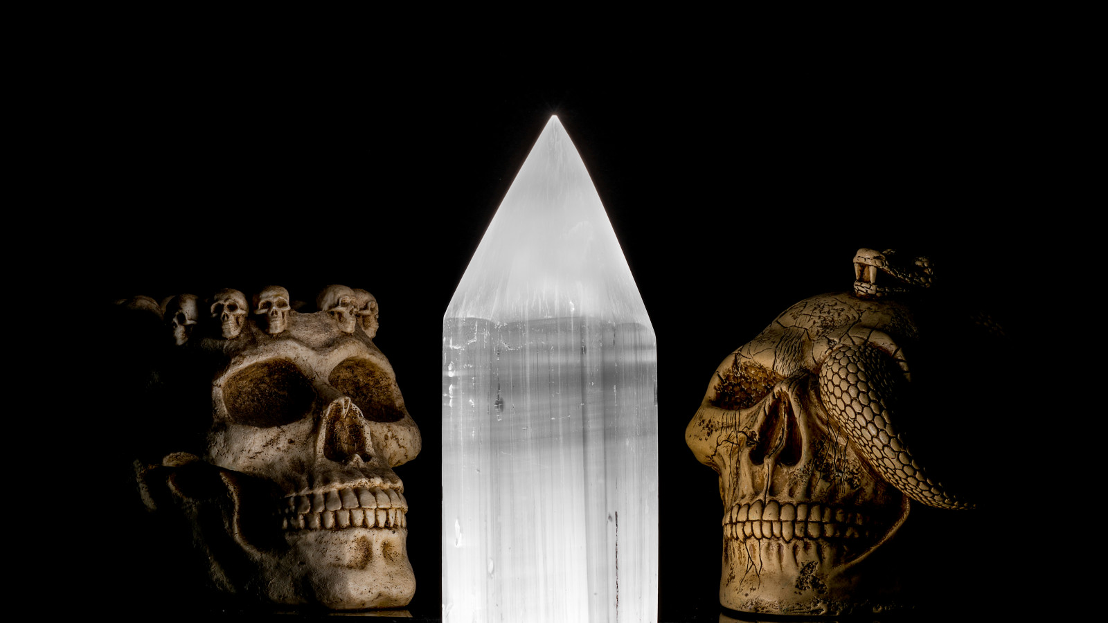 makro, had, krystal, lebka, UMĚNÍ, tma, darkart, počítač tapeta, zveřejněno, kost, 52weekchallenge