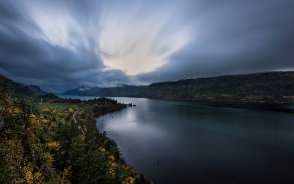 trees, landscape, sunlight, forest, fall, sea
