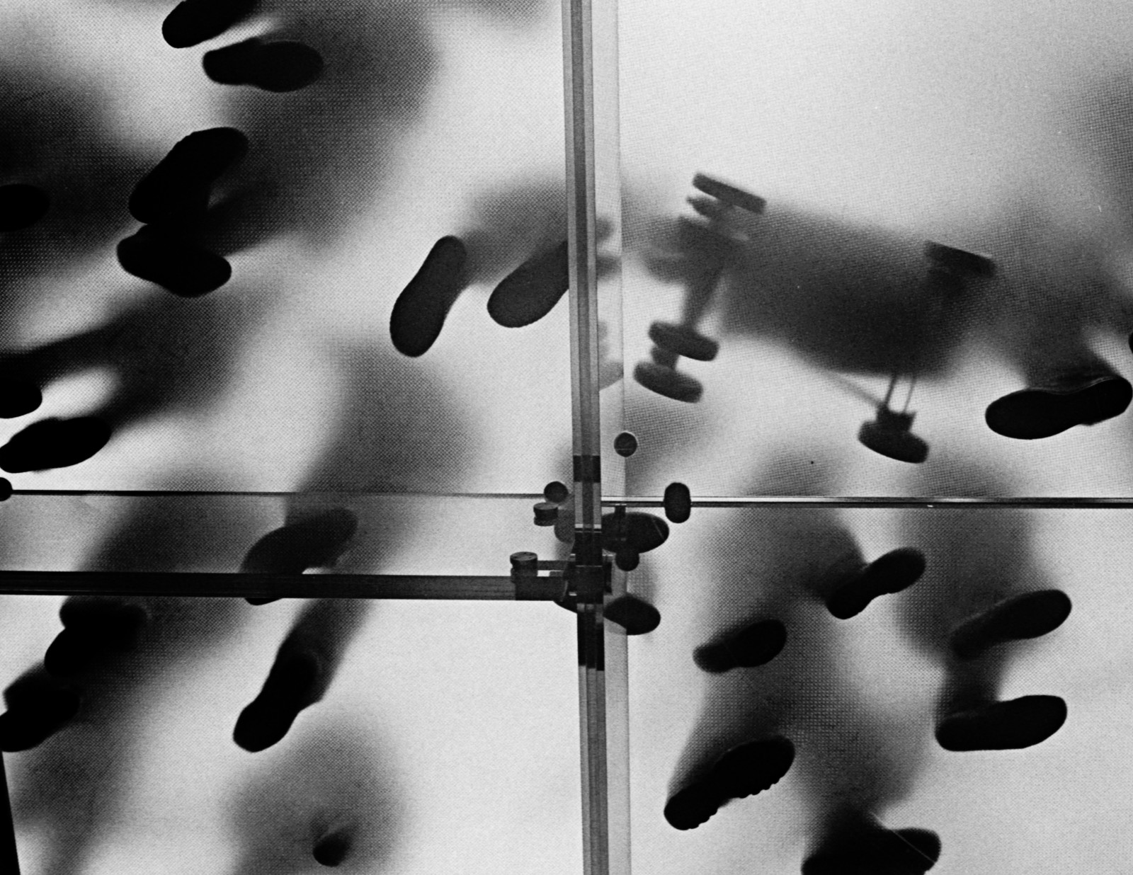 สีขาว, ดำ, ขาวดำ, เครื่องดนตรี, เงา, การถ่ายภาพ, ฟุต, ไวโอลิน, Minolta, แอปเปิ้ล, bw, มือ, รูปร่าง, บรรทัด, ny, nyc, Ilford, hp5, อเวนิว, 5th, บวก, สวัสดี, ดำและขาว, ถ่ายภาพขาวดำ, ใกล้ชิด, เครื่องมือสตริง, เครื่องมือเครื่องดนตรีโค้งคำนับ, ครอบครัวไวโอลิน, ที่ห้า, พูดติดตลก, matic, 7 วินาที