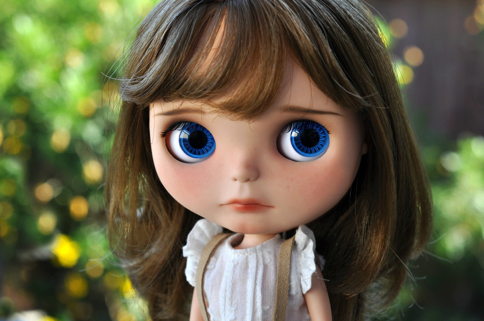 ansigt, øjne, brunette, kjole, blå, Aztec, hår, pandehår, næse, Ankomst, Legetøj, hud, dukke, øjenbryn, hoved, brugerdefinerede, Blythe, blomst, pige, øje, side, bl, perfektionere, frisure, sødme, brunt hår, organ, tæt på, oliver, fejet, mayyeo