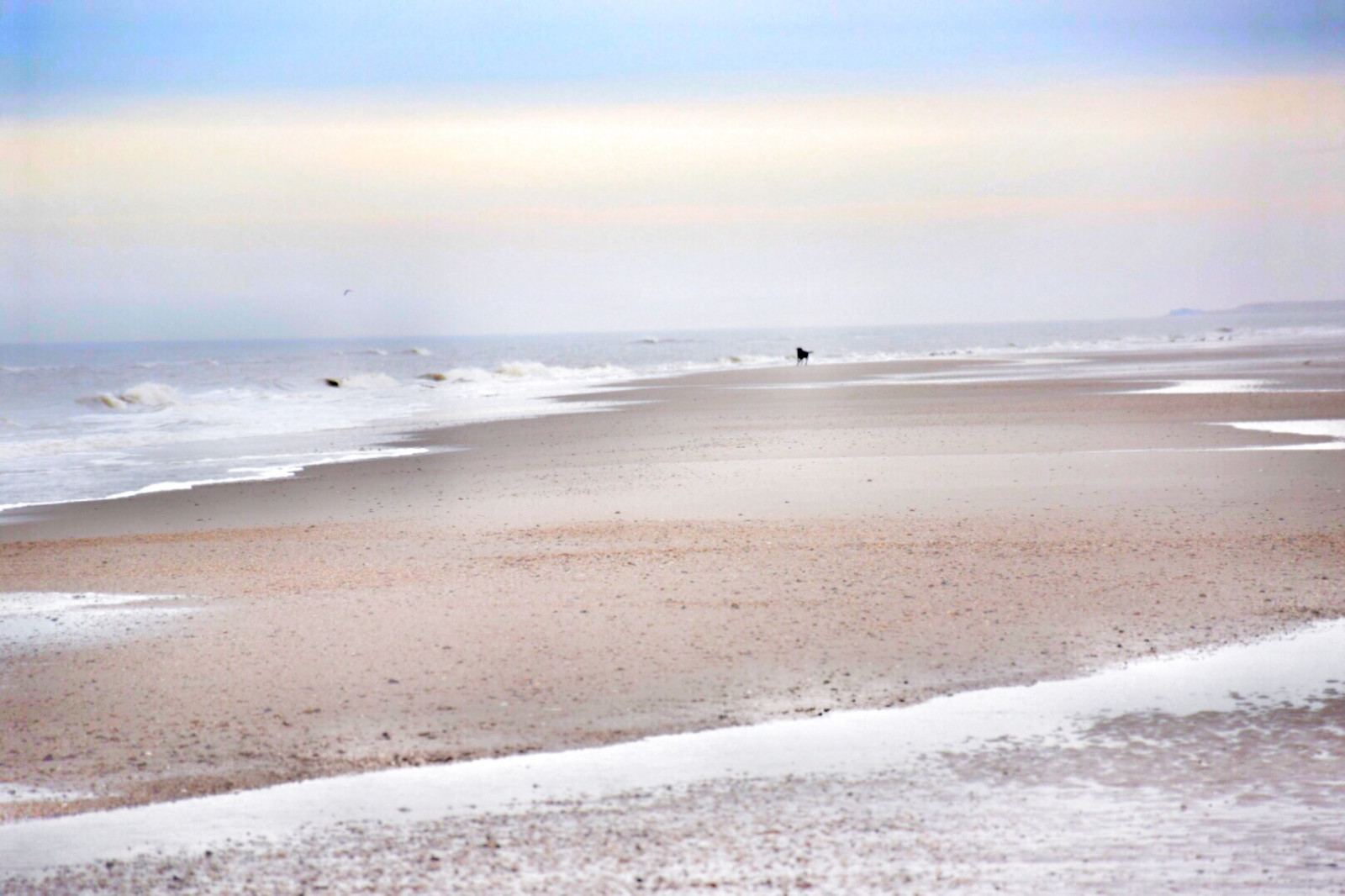 Wallpaper sea, water, shore, sand, sky, beach, calm, coast, horizon