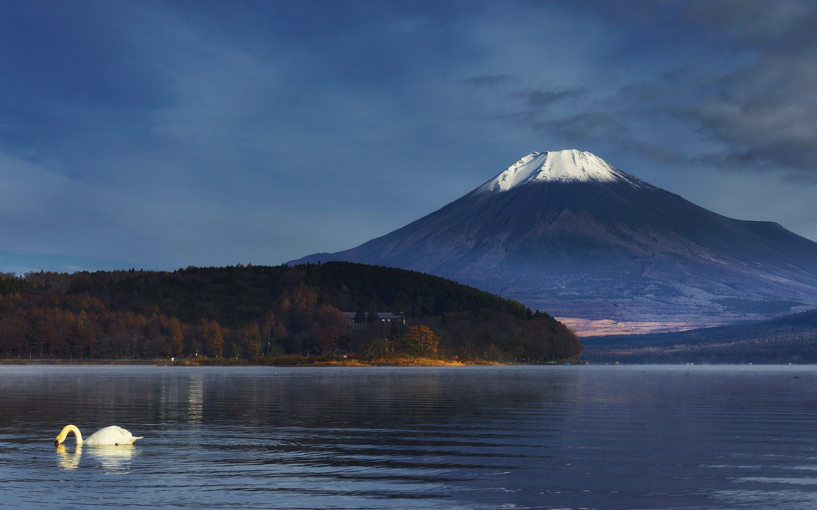 Japonsko, stromy, krajina, podzim, moře, mount Fuji, jezero, voda, Příroda, odraz, sníh, svítání, led, zasněžený vrchol, ráno, sopka, horizont, fjord, divočina, Arktický, labutě, mrak, hora, svítání, vlna, jezero, atmosférický jev, horských reliéf, landform, geografický rys, pohoří, 2500x1563 px
