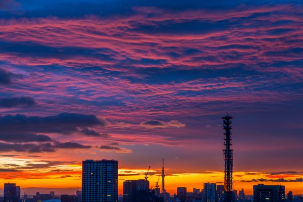 sky,sunrise,Japan,dawn,Tokyo,cloudy