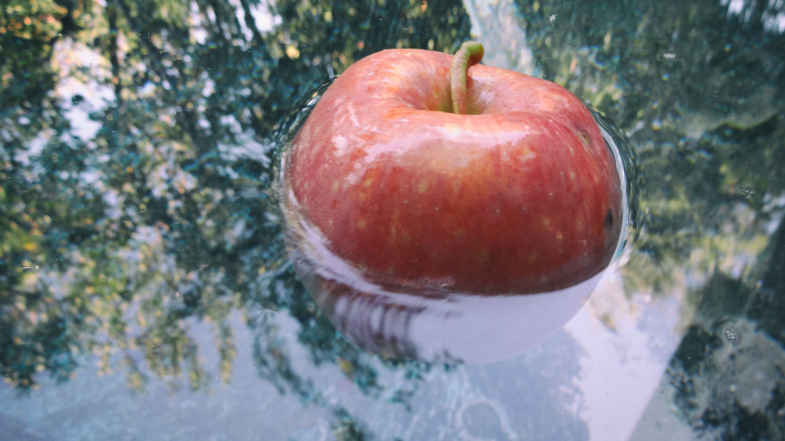 mad, frugt, æble, plante, fremstille, lokal mad