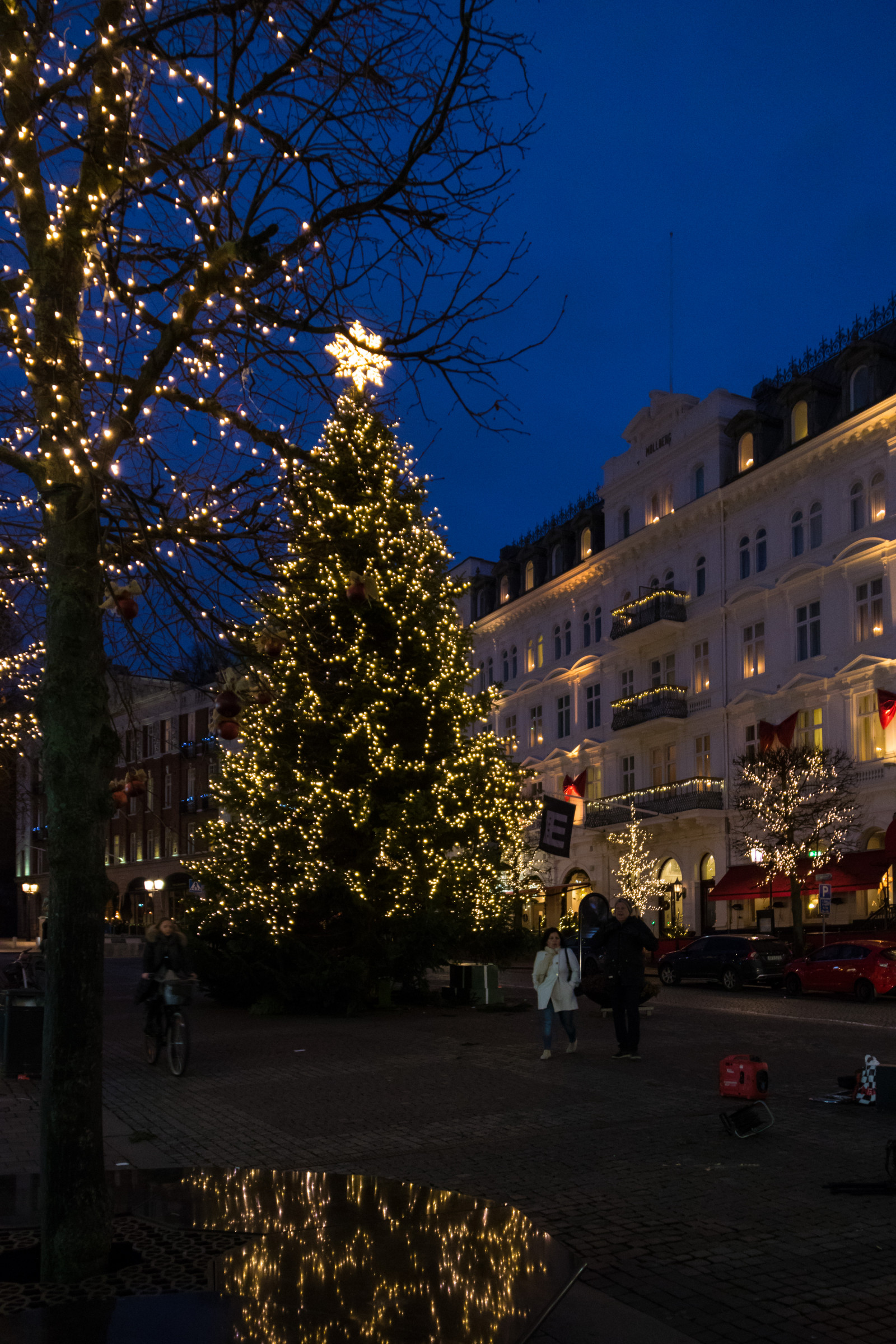 noc, odraz, večer, Vánoční strom, Vánoce, soumrak, Vánoční osvětlení, světlo, strom, centrum, Vánoce, vánoční strom, julgran, července, helsingborg, reflektion, exif modelu canoneos760d, geocountry, Kamera aby kánon, geocity, Model fotoaparátu canoneos760d, geostate, geolocation, EXIF čočka efs18200mmf3556is, exif aby kánon, exif isospeed 1600, exif focallength 18mm, christmaslight, julbelysning, EXIF otvor 35, babička, dřevina, vánoční dekorace