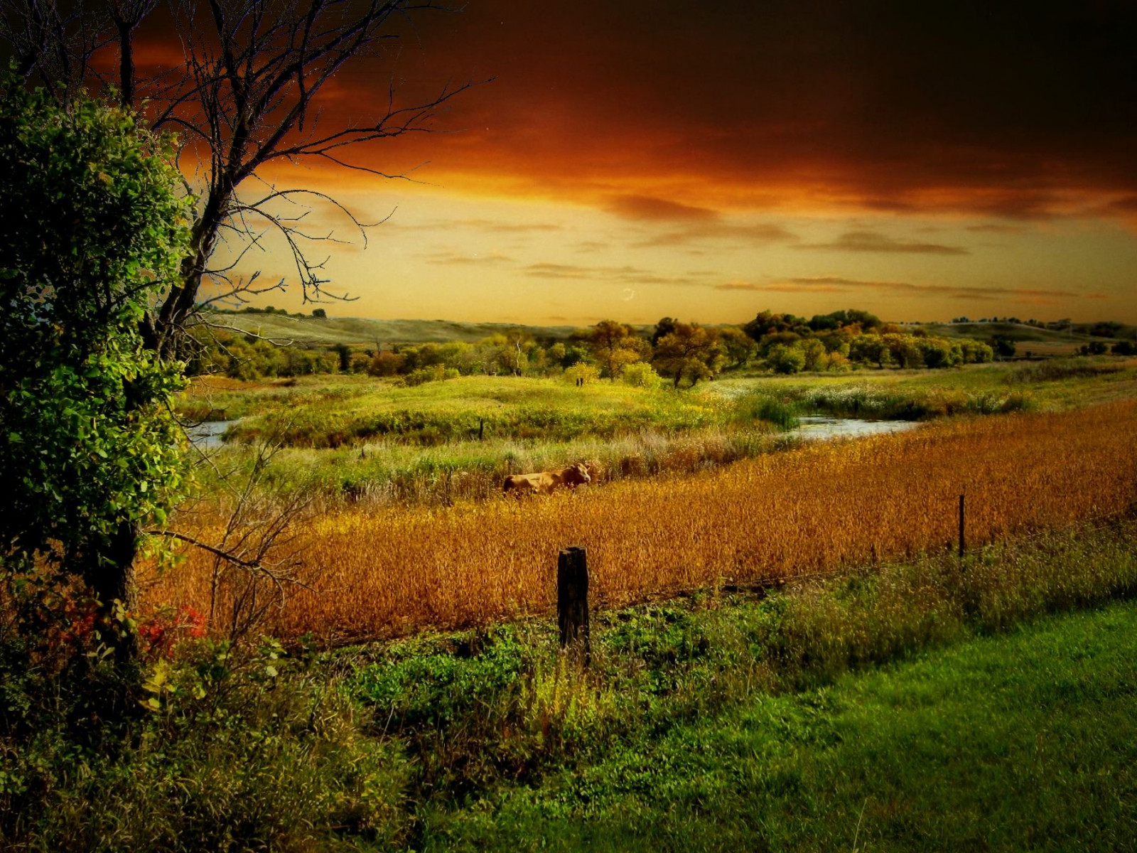 slunečnímu záření, stromy, krajina, západ slunce, kopec, Příroda, tráva, pole, mraky, svítání, večer, ráno, řeka, horizont, pláně, soumrak, štětec, venkovský, mrak, strom, podzim, list, svítání, lučina, sezóna, zemědělství, louka, prostý, prérie, půda, venkov, místo výskytu, přírodní prostředí, atmosférický jev, tráva rodina, savana