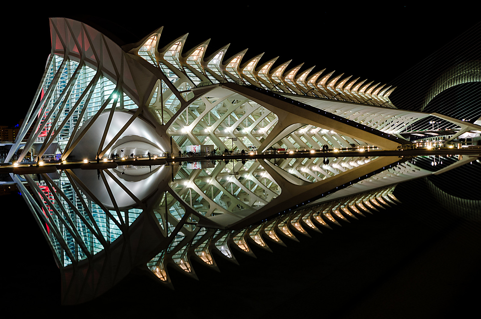 เมือง, การท่องเที่ยว, เบา, ปลา, น้ำ, วาเลนเซีย, สถาปัตยกรรม, การสะท้อน, ไฟ, สเปน, Arte, ศิลปะ, Calatrava, Luci, acqua, riflessi, Candela, Viaggio, notte, architettura, วิทยาศาสตร์, Luce, spagna, citta, pesce, senza
