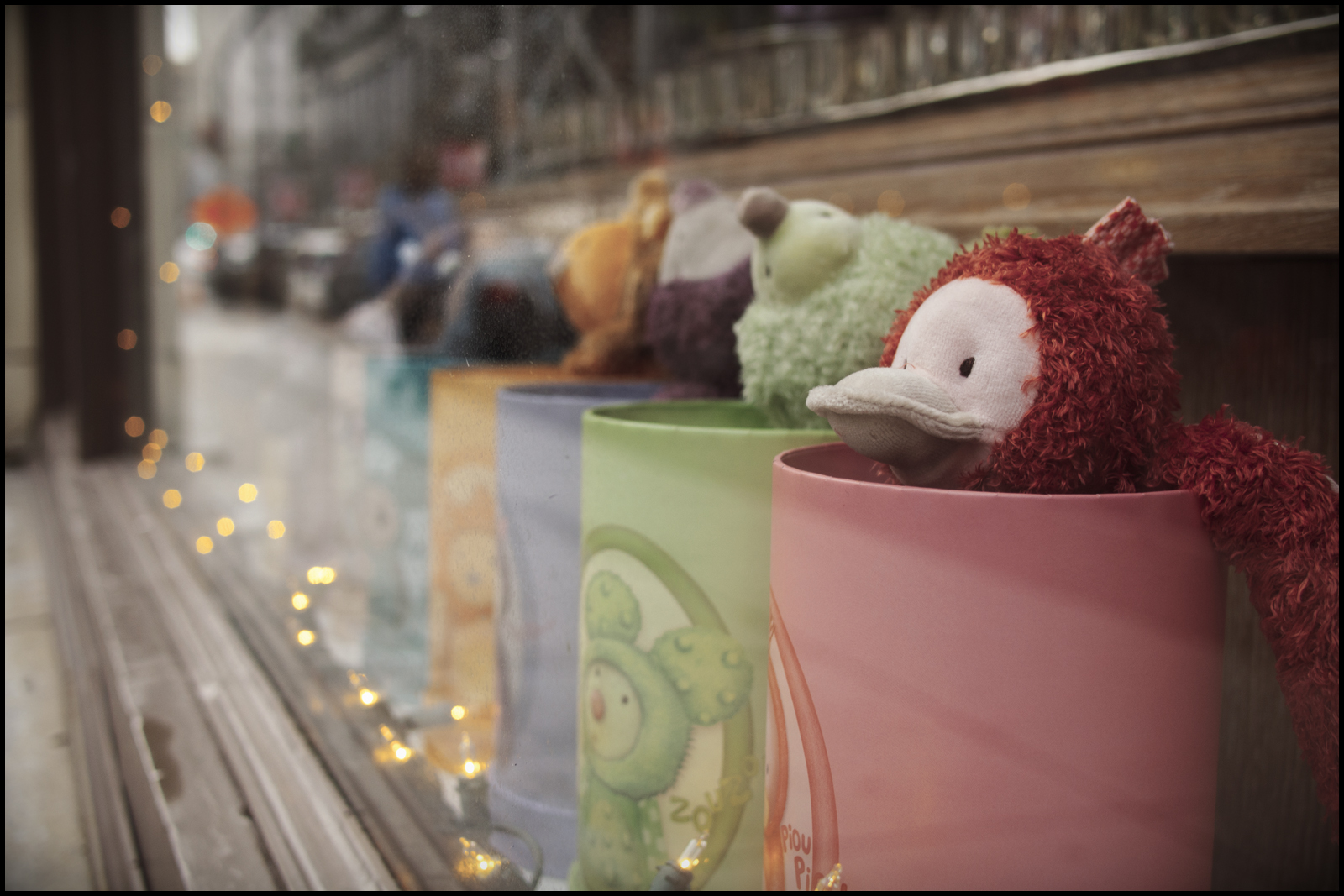 město, městský, Kanada, detail, roztomilý, okno, sklenka, prodejna, Vancouver, odrazy, hračky, obchod, centrum, před naším letopočtem, Zobrazit, bokeh, Britská Kolumbie, plyš, kawaii, fragment, Hastingsstreet, Na západě, panasoniclumix20mmf17, olympusem5