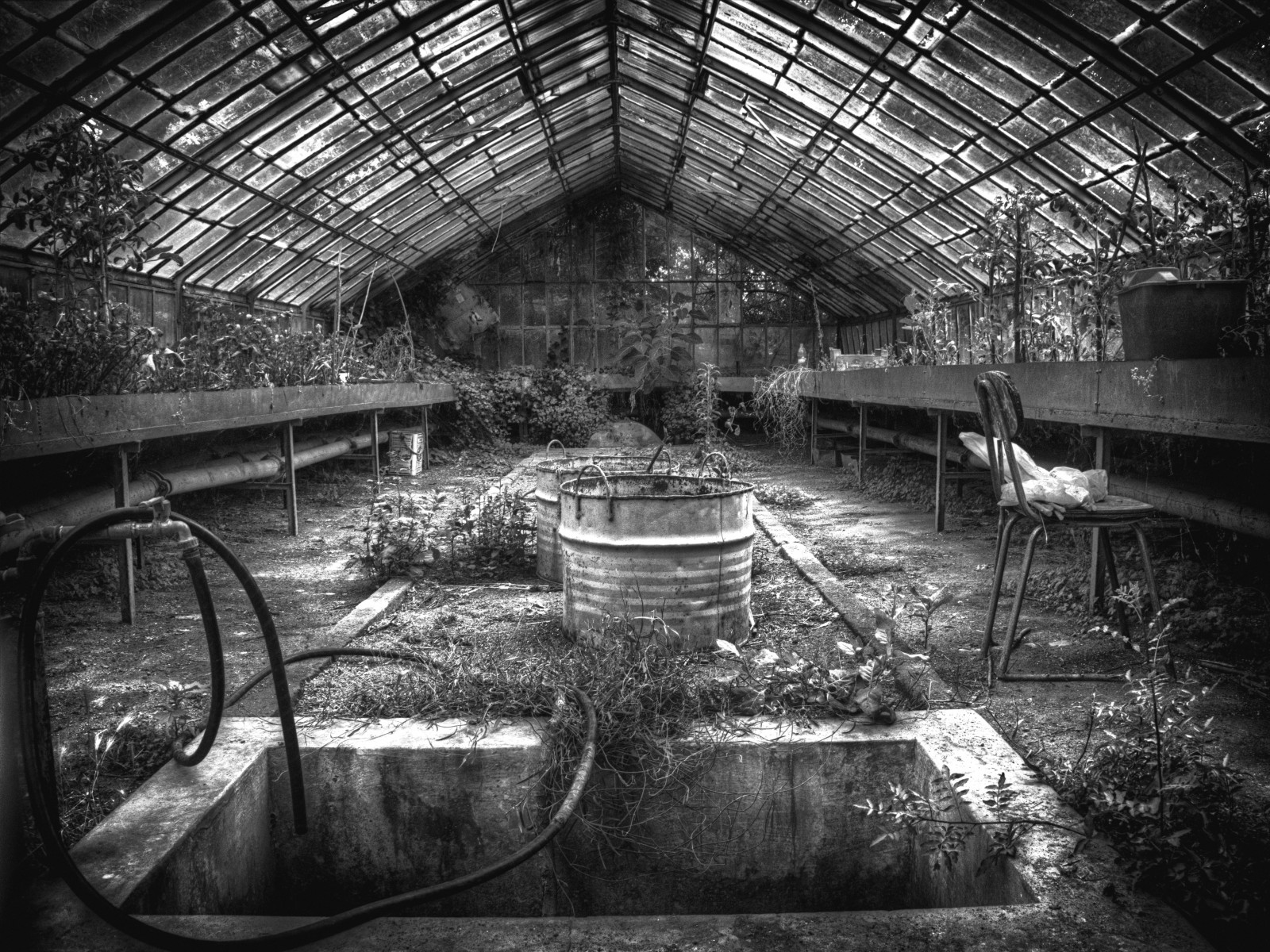 slunečnímu záření, starý, černobílý, architektura, voda, interiér, zřícenina, opuštěný, odraz, fotografování, kov, Řecko, továrna, zřícenina, skleník, struktura, Černý a bílý, strom, tělesné, tma, drama, dhrama, Černý a bílý, monochromatické fotografování, Oldgreenhouse, Bwgreek