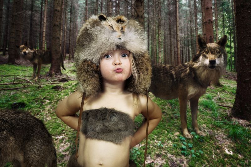 foresta, lupo, natura, bambini, umorismo foresta, lupo, natura, bambini, umorismo
