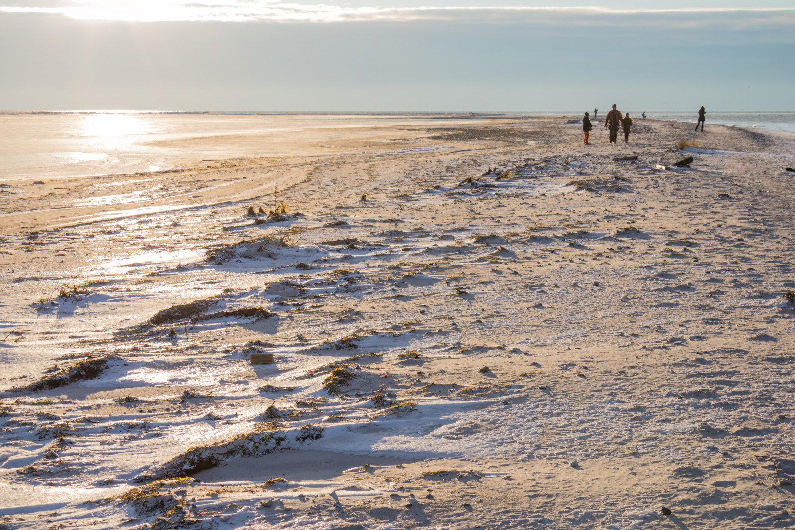 paesaggio, mare, baia, acqua, roccia, puntellare, sabbia, riflessione, la neve, inverno, spiaggia, mattina, costa, orizzonte, artico, zone umide, oceano, onda, SN, Vinter, HAV, Materiale, riserva naturale, naturreservat, Falsterbo, m kl ppen, palude, geologia, habitat, ambiente naturale, corpo d'acqua, mudflat