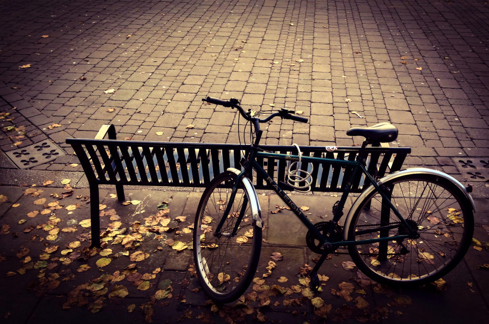 ulice, Fotoaparát, Spojené království, ráno, podzim, slunce, podzim, kolo, jízdní kolo, svítání, lavice, sezóna, venku, barvy, fotograf, Procházka, Sedadlo, Neděle, streetphotography, Raleigh, cotswolds, společnost, Adobe, cyklus, gloucester, hlavní ulice, Upravit, originalfilter, nahrané flickrmobile, flickriosapp filtr originál