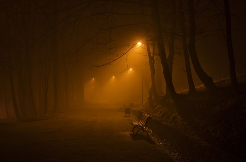slunečnímu záření, noc, park, ráno, svítání, večer slunečnímu záření, noc, park, ráno, svítání, večer