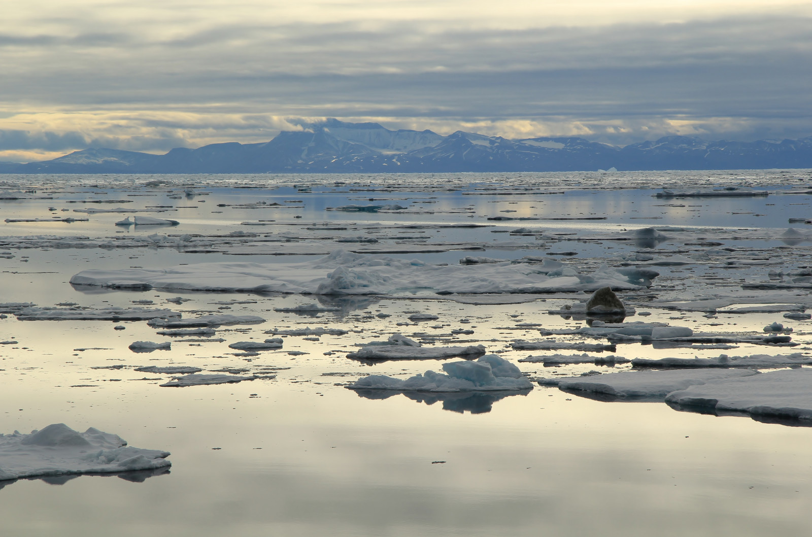 krajina, západ slunce, moře, jezero, voda, pobřeží, písek, odraz, nebe, sníh, zima, svítání, led, Grónsko, ráno, pobřeží, řeka, horizont, Arktický, soumrak, tundra, mokřadní, mrak, svítání, oceán, vlna, moře, nádrž, naturethroughthelens, bažina, jezero, místo výskytu, přírodní prostředí, atmosférický jev, Severní ledový oceán, mělčina při ústí řeky, myggbukta