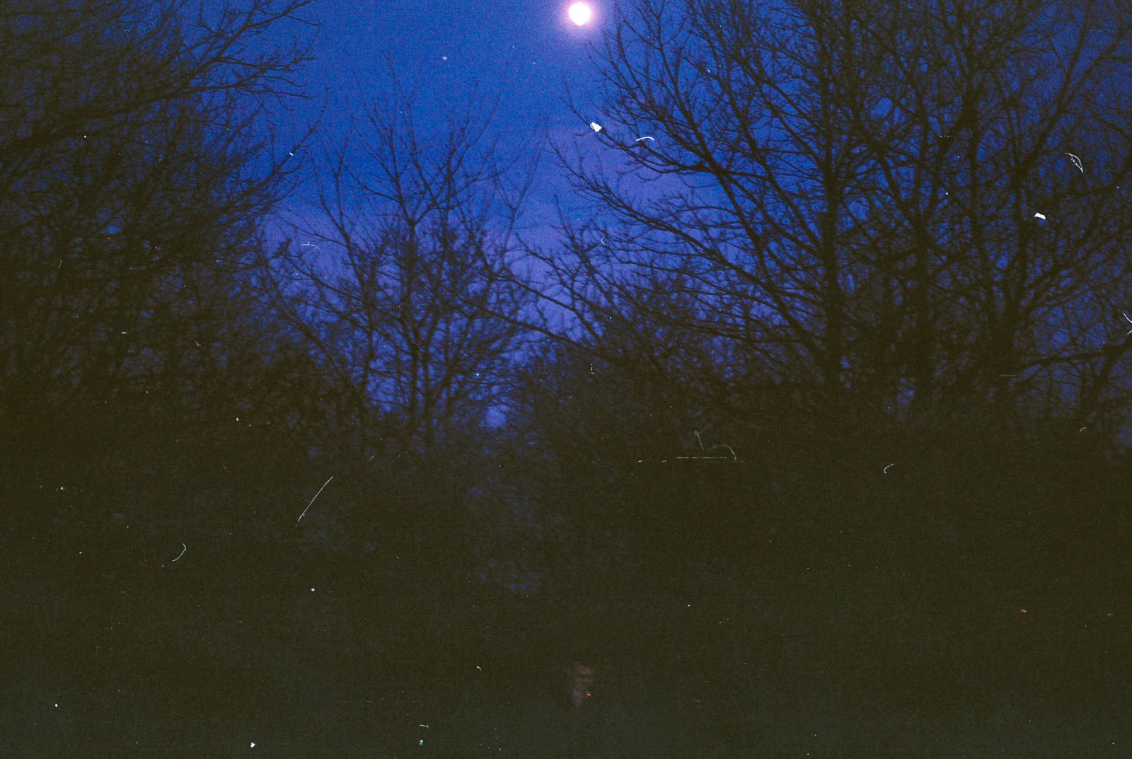 natur, nat, atmosfære, himmel, vand, træ, mørke, lys, atmosfære af jord, fænomen, morgen, himmellegeme, sollys, aften, biom, måneskin, afdeling, Skov, midnat, græs, himmelsk begivenhed, computer tapet