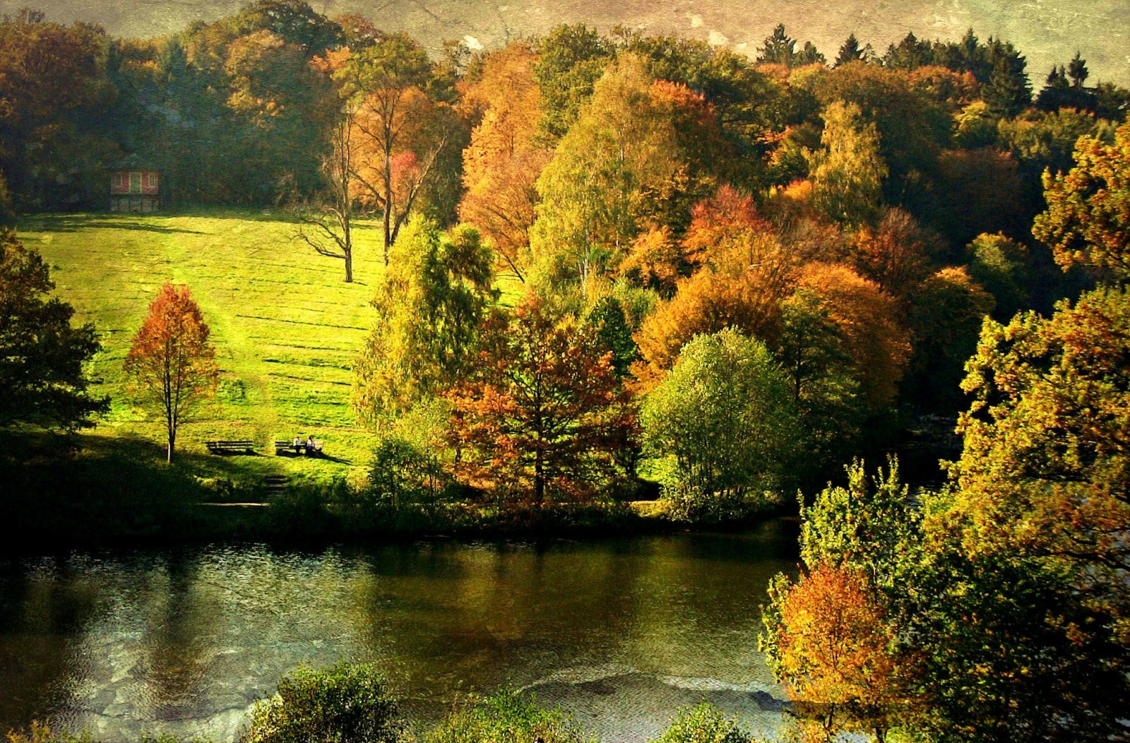 slunečnímu záření, krajina, les, jezero, Příroda, odraz, ráno, řeka, divočina, rybník, proud, Stuttgart, strom, podzim, list, Landschaft, květ, sezóna, paisaje, lago, textur, vidět, Herbst, autunno, roba66, effecte, zálesí, IML ndle, b rensee, venkov, místo výskytu, přírodní prostředí, atmosférický jev, dřevina