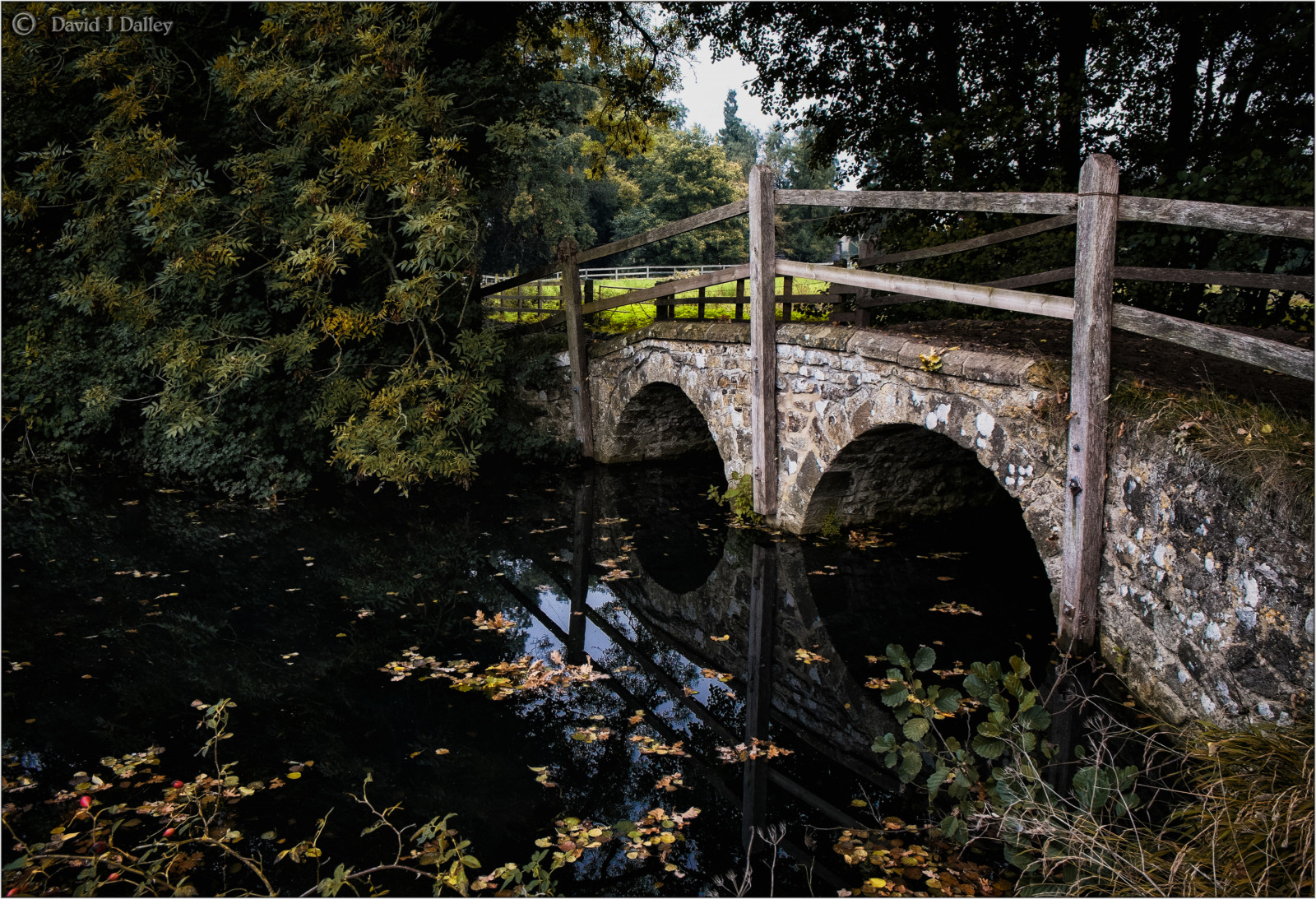 Spojené království, greatbritain, most, podzim, Anglie, podzim, voda, listy, venkovský, řeka, Sussex, venkov, proud, oblouk, přechod, Západní Sussex, most pro pěší, Spojené království, Británie, plovoucí, oblouky, 1855mm, tmavá voda, plovák, podzimní, Southdowns, vodní, englishcountryside, Drifting, závěj, Midhurst, Stonebridge, roadbridge, ruralengland, přítok, Ruralvillage, XE1, ruralsussex, ruralbritain, minsted, sussexcountryside, southdownsnationalpark, minstedroad, daviddalley, davidjdalley, fujifilmxe1, fujixe1, Fuji1855mm, Fujixsystem, Minstedbridge, Minstedroadbridge