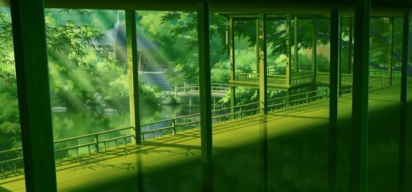window,plant,leaf,shade,sunlight,architecture