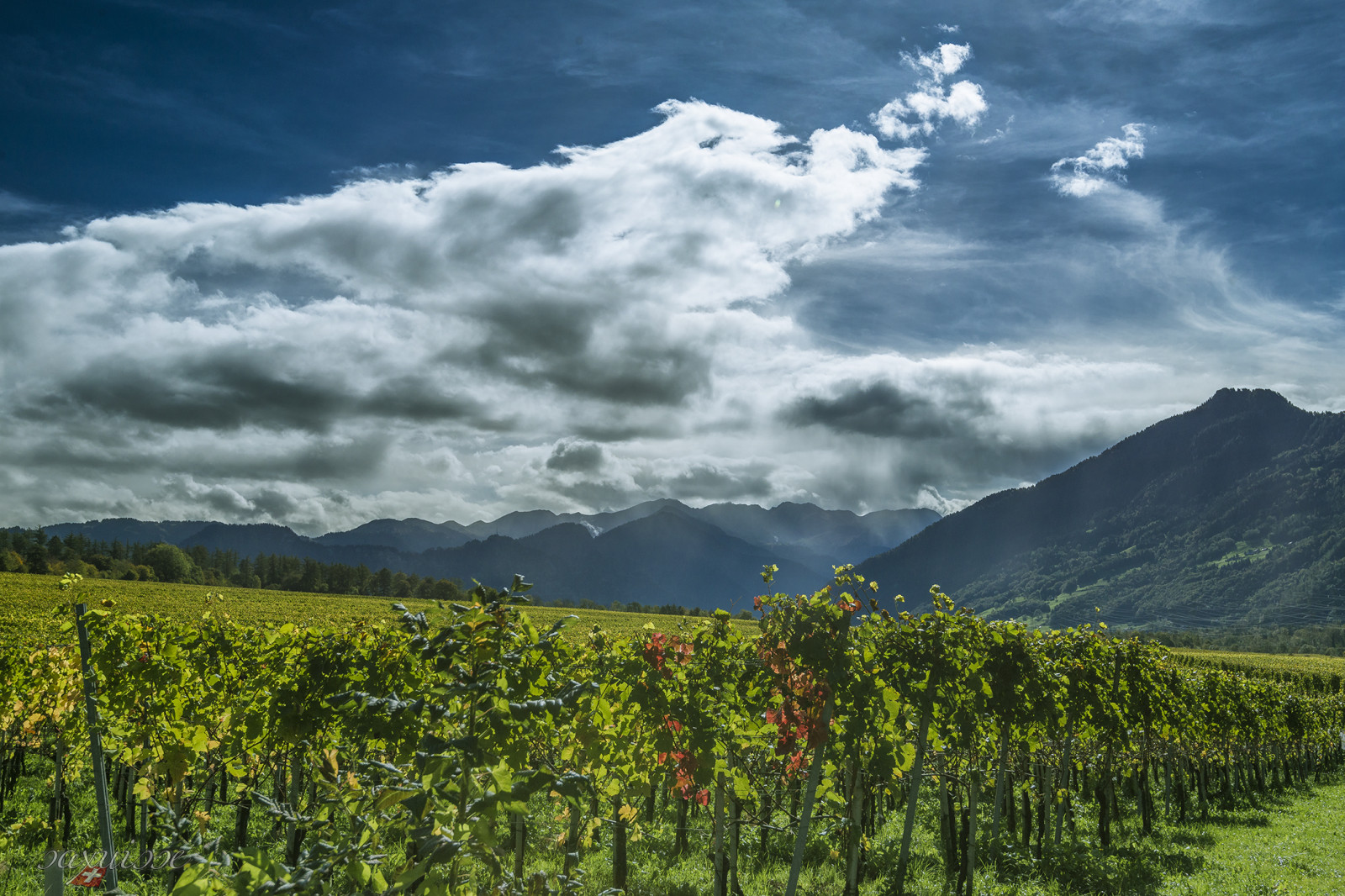 travel, blue, autumn, Sun, Alps, green, clouds, alpes, schweiz, Switzerland, Soleil, Nikon, suisse, wine, herbst, wolken, vine, vert, adventure, badragaz, grun, alpen, blau, nikkor, sole, svizzera, sonne, alpi, vino, verte, wein, bleue, d800, maienfeld, graubunden, grisons, weinberge, svizra, autumne, grigioni, grischun, automno, flasch, b ndnerherrschaft, saxuisse