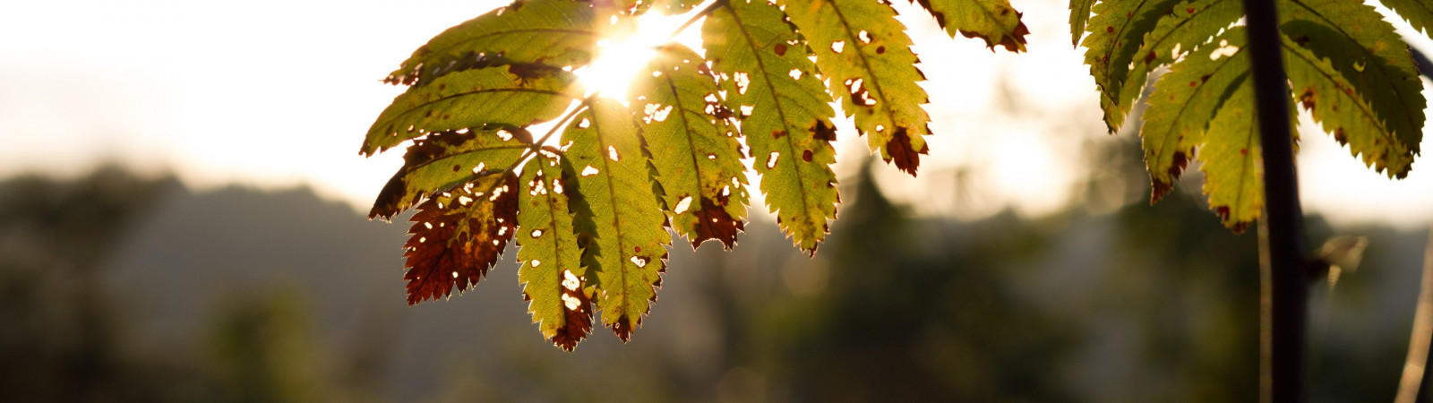 3840x1080 px, duální monitory, multiple display