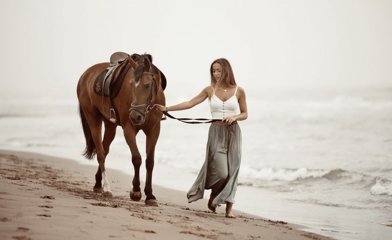 horse, mammals, women outdoors, animals, women, beach horse, mammals, women outdoors, animals, women, beach