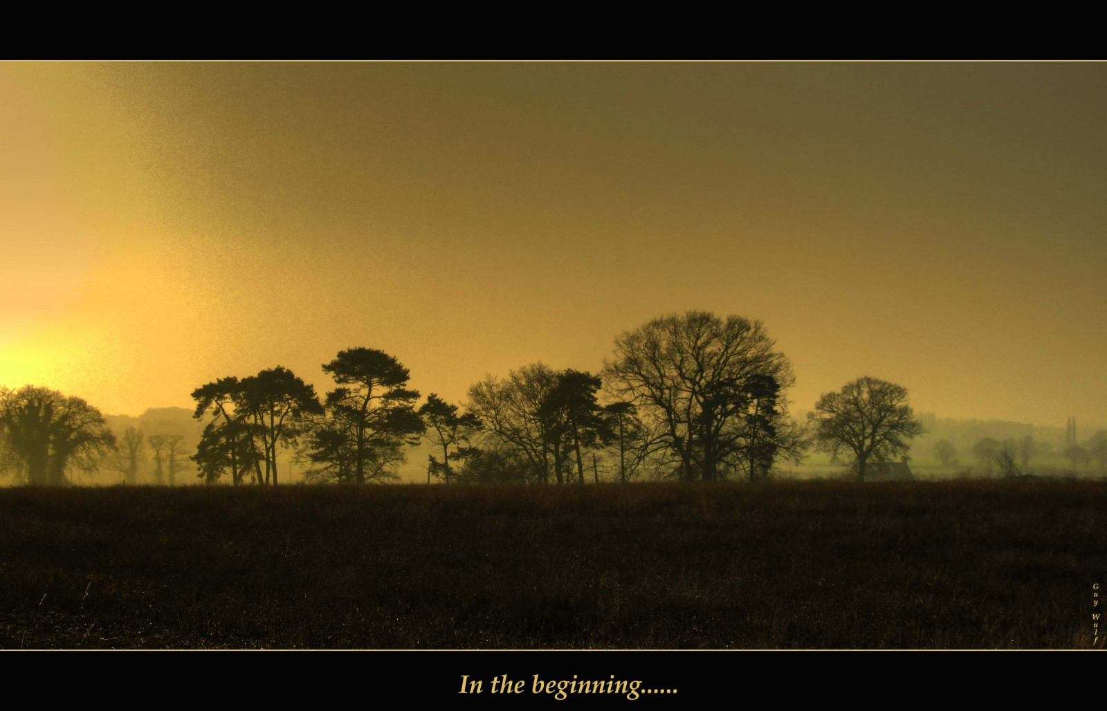 sky, nature, tree, yellow, ecosystem, woody plant, dawn, savanna, atmosphere, morning, field, sunrise, grassland, evening, horizon, plain, sunlight, phenomenon, prairie, rural area, grass, landscape, ecoregion, cloud, sunset, meadow, dusk, computer wallpaper, Sun, plant, forest, afterglow