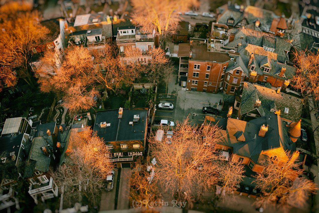 strom, list, dřevina, urban area, město, podzim, obytný prostor, město, rostlina, architektura, sousedství, Dům, předměstí, večer, domů, krajina