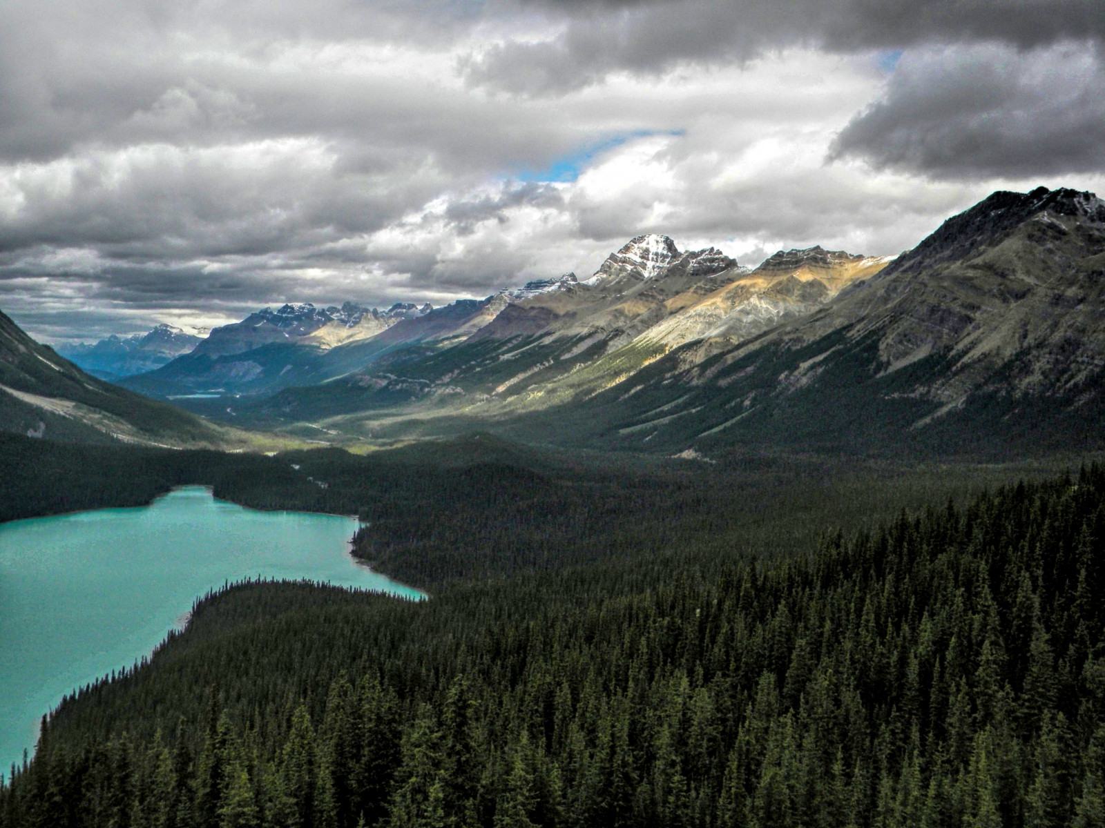 paesaggio, foresta, collina, lago, natura, cielo, Canada, Parco Nazionale, fiordo, valle, Passo di montagna, natura selvaggia, paesaggio mount, lago del cratere, tundra, altopiano, cresta, Terreno, nube, albero, montagna, serbatoio, laghetto, montanaro, lago, morfologie montane, catena montuosa, geomorfologia glaciale, fenomeno meteorologico, abbattere, circo glaciale, banffnationalpark, icefieldsparkway, Montagne Rocciose Canadesi, scarpata, Peytolake, Bowsummit, Mistayariver, Waptaicefield, Bowpass, Billpeyto, continental divide