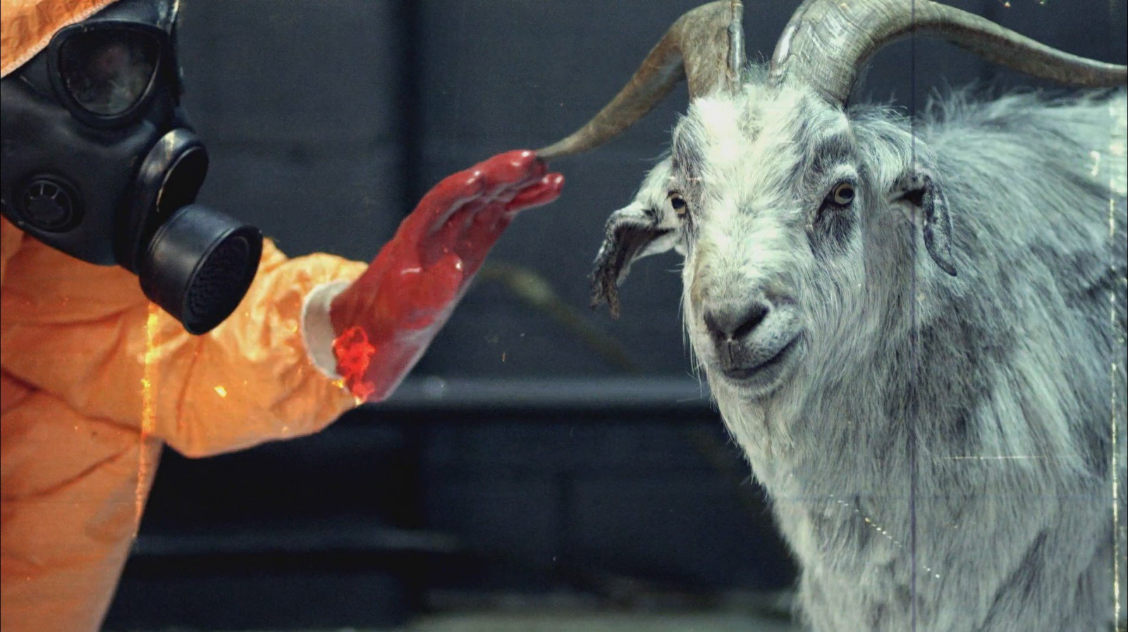 Wallpaper : 1922x1078 px, biohazard, Goat Simulator, goats, hazmat ...