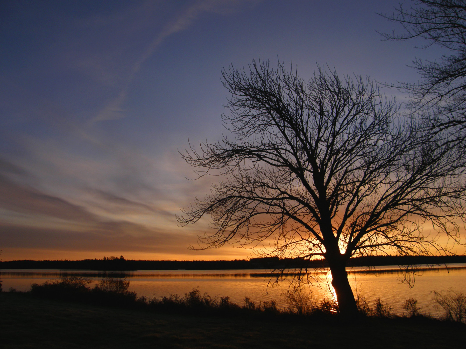 slunečnímu záření, západ slunce, Příroda, odraz, nebe, větev, svítání, večer, ráno, horizont, atmosféra, soumrak, mrak, strom, svítání, theperfectphotographer, natureselegantshots, mywinners, vosplusbellesphotos, atmosférický jev, odlesk, dřevina, červená obloha v dopoledních hodinách, yarmouthnovascotia
