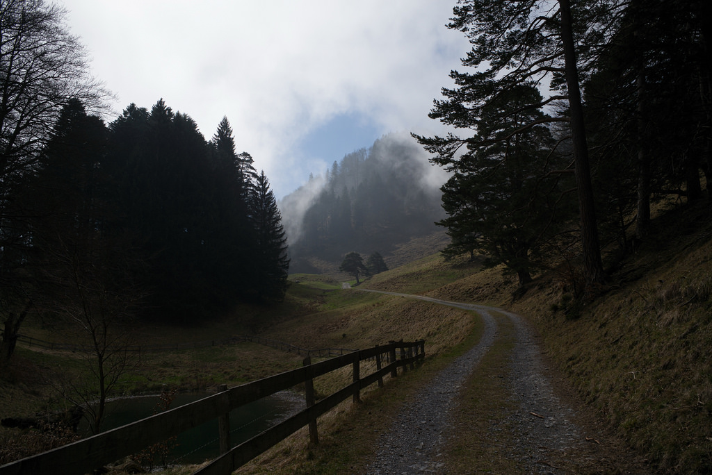 slunečnímu záření, krajina, les, kopec, Příroda, silnice, ráno, mlha, údolí, Švýcarsko, divočina, Evropa, turistika, Leica, perspektivní, 2017, mrak, strom, podzim, mlha, hora, počasí, stezka, leicam, typ240, type240, 28mm, Schweiz, t.t., svizzera, dálkoměr, suisse, Nebel, venkov, atmosférický jev, horských reliéf, geografický rys, pohoří, Wanderung, Wanderweg, digitalrangefinder, messsucher, Svizra, toniv, Sentiero, Randonnée, Gräub nden, elmaritm12828asph, Graubünden, grischun, 170325, escursione, m2403379, fl scherberg