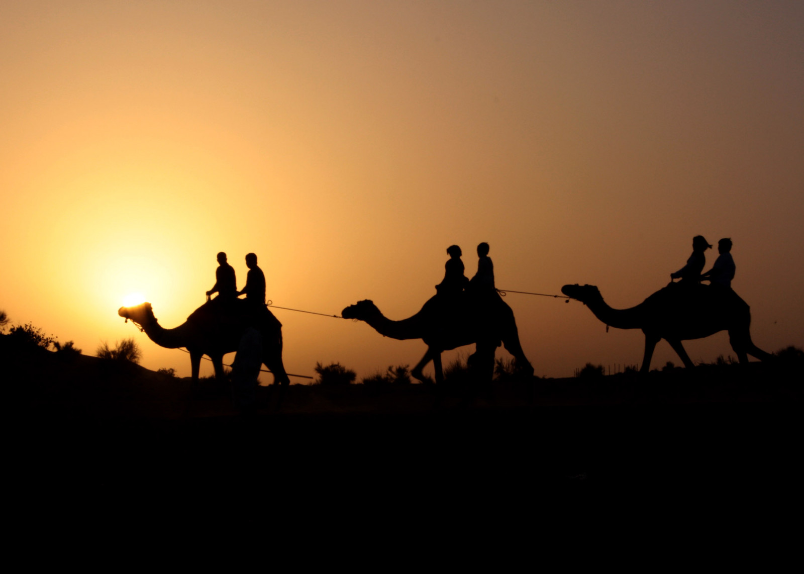 západ slunce, dubaj, jezdit, poušť, uae, velbloud, silouhette, stunningskies, bestcapturesaoi, elitegalleryaoi, blinkagain, bestofblinkwinners, galleryoffantasticshots, blinksuperstars, flickrstruereflection2, flickrstruereflection3, flickrstruereflection4, flickrstruereflection5, flickrstruereflection6, flickrstruereflection7, flickrstruereflectionexcellence, trueexcellence1, trueexcellence2, trueexcellence3, rememberthatmomentlevel4, rememberthatmomentlevel1, rememberthatmomentlevel2, rememberthatmomentlevel3