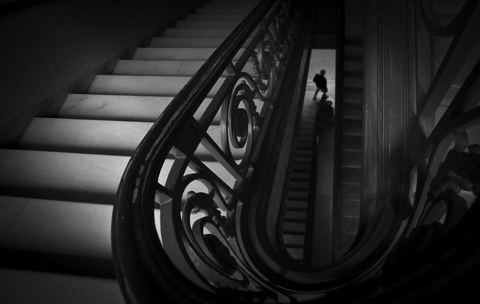 Černá, černobílý, fotografování, silueta, dějiny, ostatky, schodiště, schody, pneumatika, muzeum, úhel, světlo, Černý a bílý, tělesné, muž, kolo, čára, Smithsonian, tma, okraj, počítač tapeta, Černý a bílý, monochromatické fotografování, automotive pneumatiky, zátiší fotografování, světlomet, clamson, mluvil, automotive Lighting, Fosílie