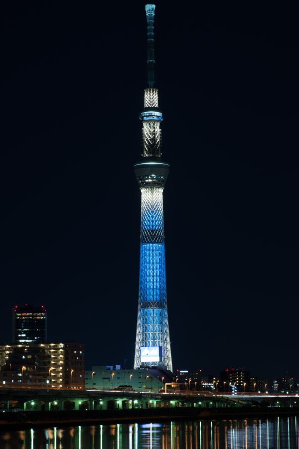 Japan,city,cityscape,night,architecture,reflection