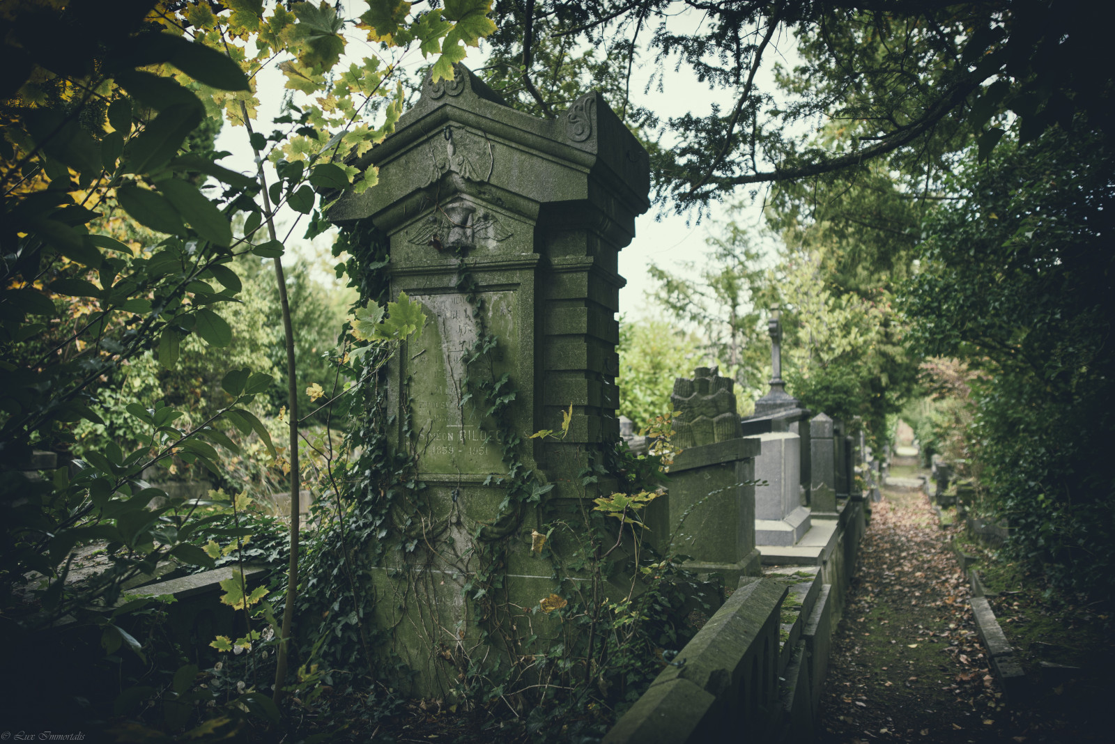 Wallpaper : tempus fugit, cemetery, urban decay, nature, plants ...