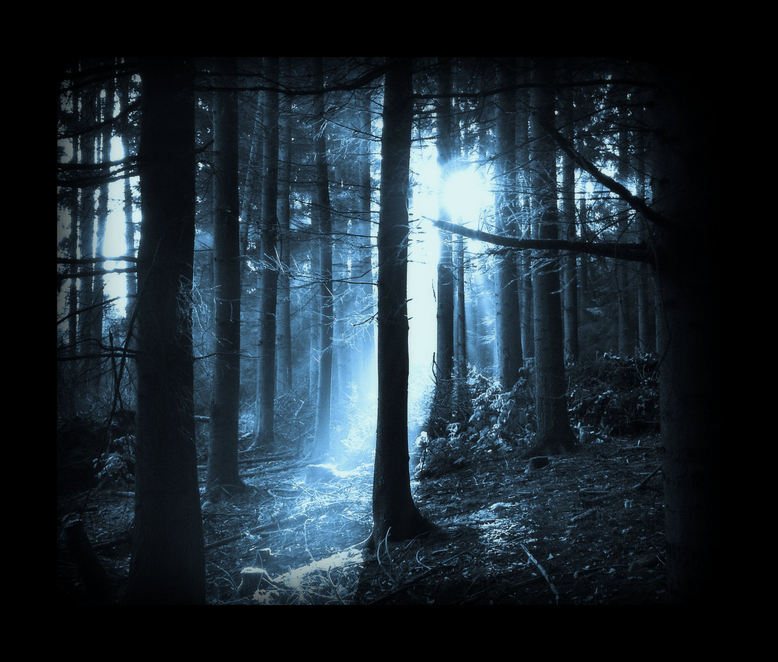 dřevo, ráno, světlo, slunce, strom, UMĚNÍ, Příroda, les, svítání, Německo, paprsek, Země, kouzlo, tvořivý, tyrkysová, paprsky, Oberberg, mystik, mystcal, mywinners, theunforgettablepictures, vanagram, artofimages, saariysqualitypictures, bestcapturesaoi, elitegalleryaoi, artistoftheyearlevel4, artistoftheyearlevel5, artistoftheyearlevel6