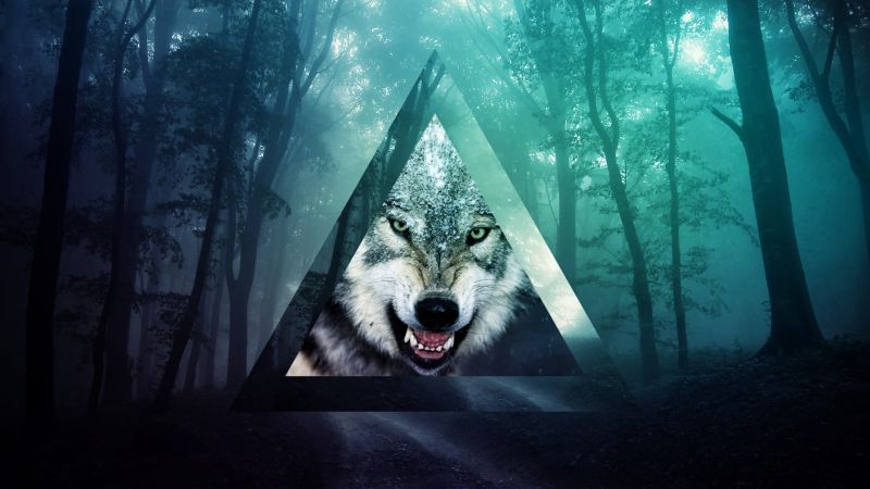 triangle, wolf, darkness, screenshot, computer wallpaper, trees triangle, wolf, darkness, screenshot, computer wallpaper, trees